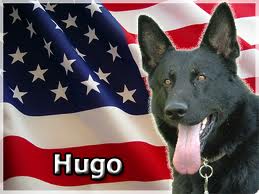 K9 Hugo Loses Battle With Cancer