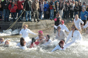 Polar Plunge