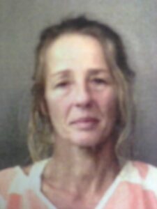 Tammy Sue Haynes Bremen mugshot