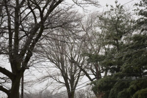 Kosciusko Ice Storm
