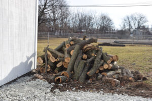Syracuse Town Code Violations