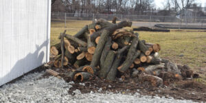 Syracuse Town Code Violations